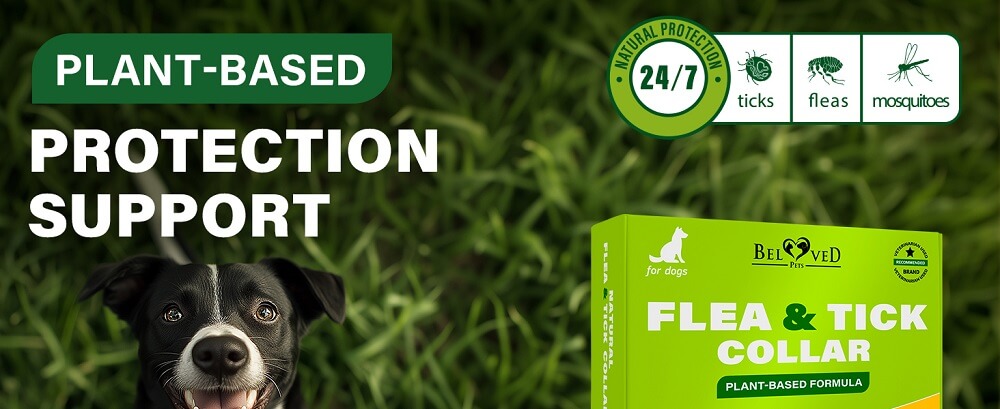 Beloved Pets Natural Flea & Tick Collar for Dogs Reviews