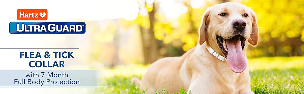 Hartz UltraGuard Plus Flea & Tick Collar for Dogs Reviews