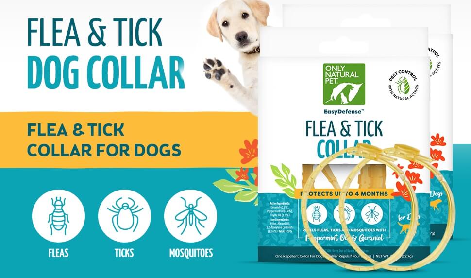 Only Natural Pet EasyDefense Collar for Dogs Reviews
