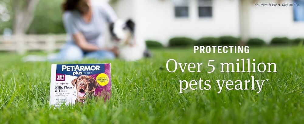 PetArmor Plus Flea & Tick Collar for Dogs Reviews